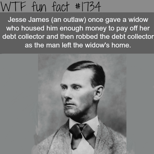 WTF fun facts