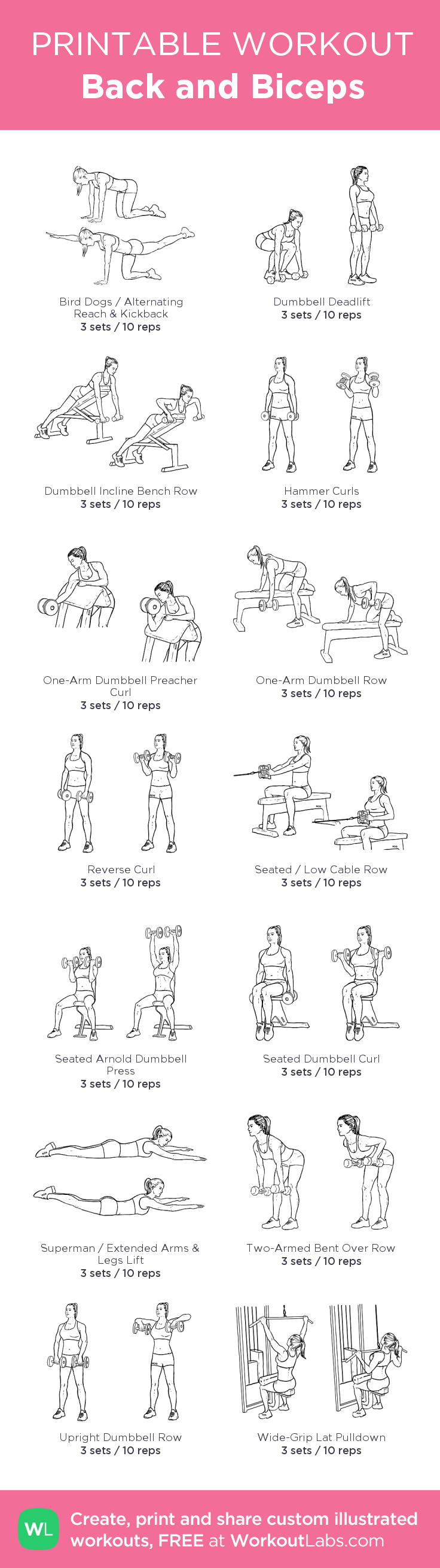 Back and Biceps – my custom workout created at WorkoutLabs.com • Click through to download as prin