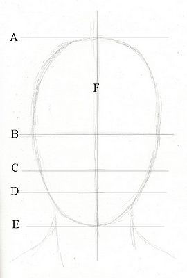 Drawing lesson for Beginner artists: Proportions of the face, front view – Step 3 : Guidelines