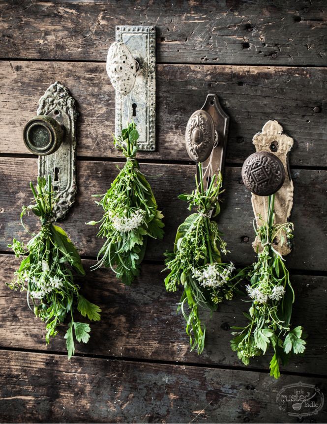 drying herbs: another great way to repurpose old doorknobs | one of 8 picks for this weeks Friday