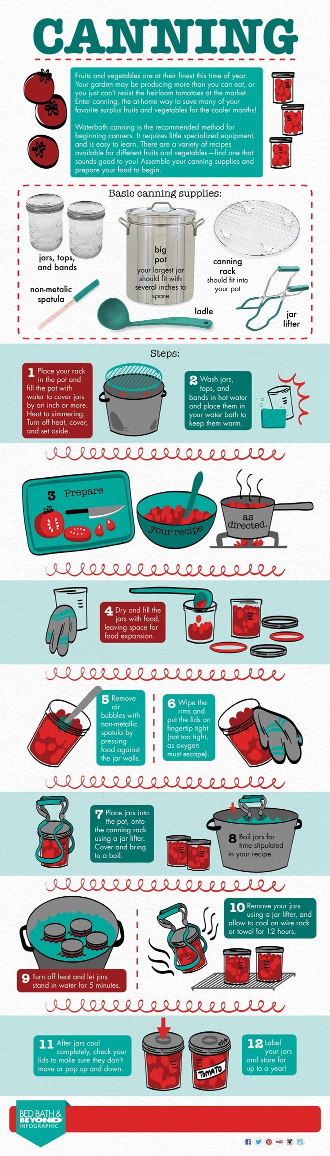 Everything you need to know about canning in an infographic!