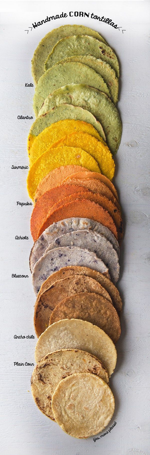 Handmade Corn Tortillas – Step-by-step instructions for eight different flavors!