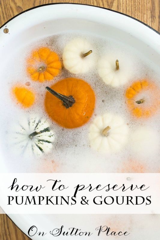 How to Preserve Pumpkins & Gourds for your Fall decorating. | Simple way to make them last for wee