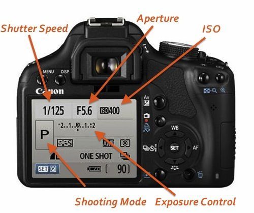 Learn How To Use Your DSLR Camera With This Easy Photography Tutorial!