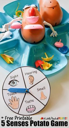 Learning about the 5 Senses with Mr. Potato Heads plus free printable. Fun learning activity for presc