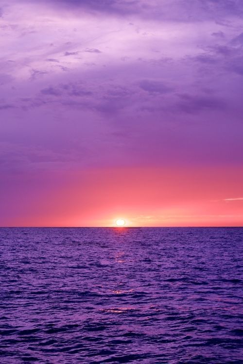 Purple Photography Ideas (20 pics) – sunset; beach; relaxing; calm