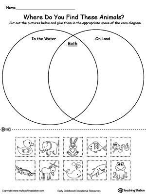 Venn Diagram Animals In Water And On Land: Practice sorting items into groups based on attributes by u