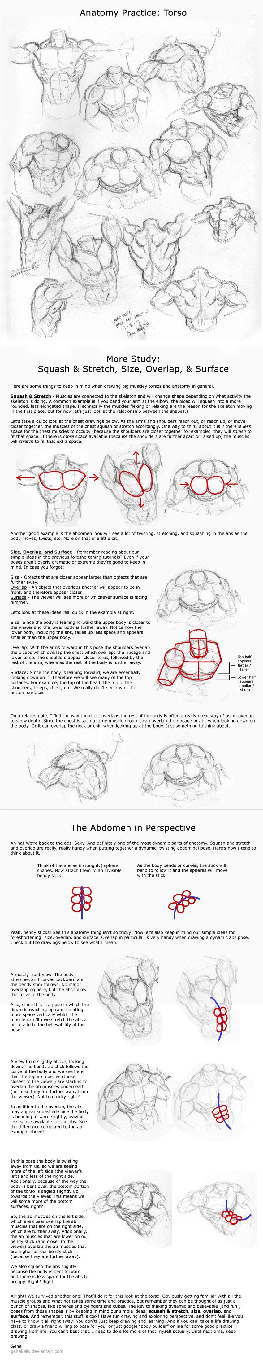 Wed 4: Torso Practice n’ Tips by genekelly.deviant… on @deviantART join us pinterest.com/… itunes.