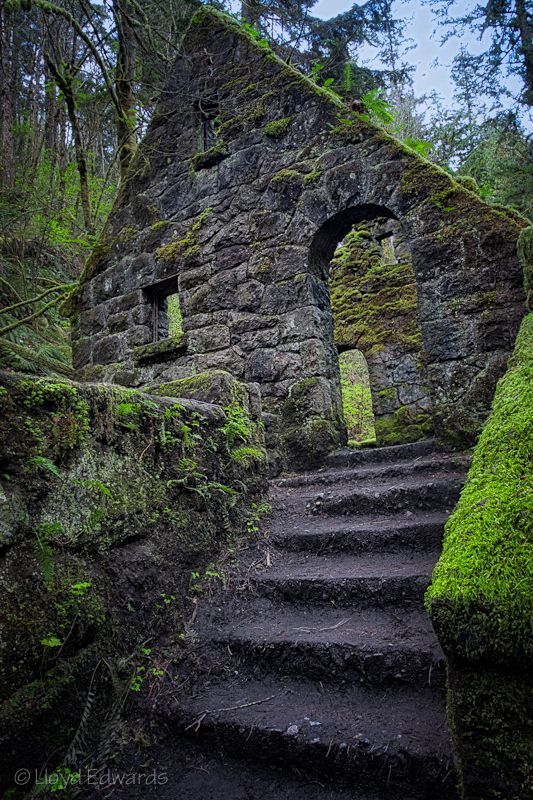 Witches Castle. Forest Park, Portland, Oregon