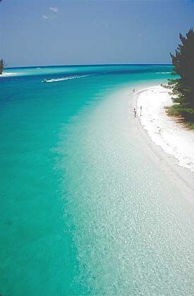 Anna Maria Island, Florida….Cleanest, clearest waters Ive ever seen!! Going on my list of favor
