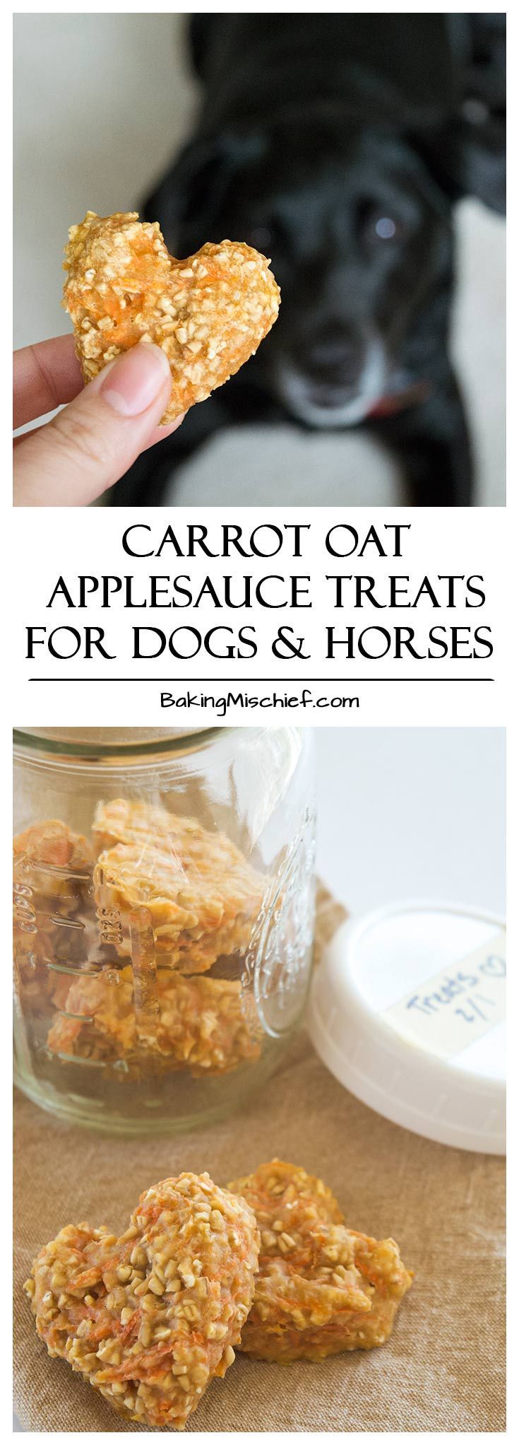 Carrot Oat Applesauce Treats for Dogs and Horses