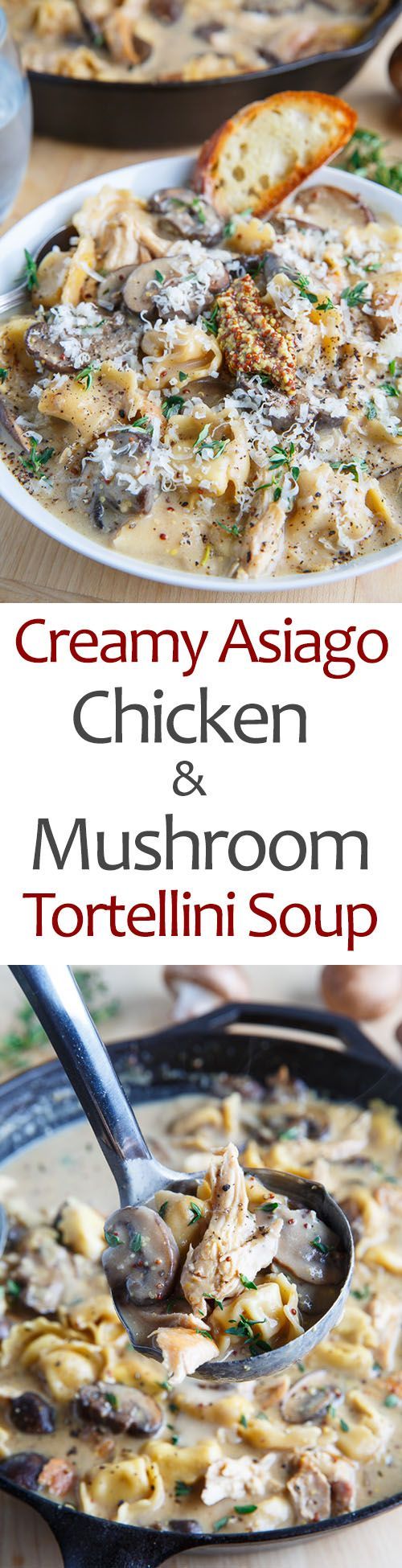 Creamy Asiago Chicken & Mushroom Tortellini Soup