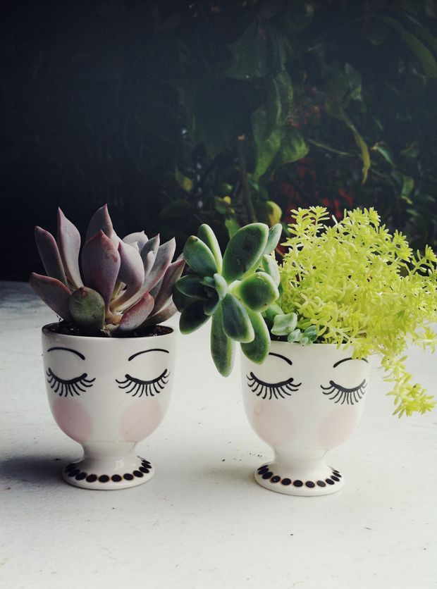 Egg Cup Planters – so sweet to make with fun plants in there