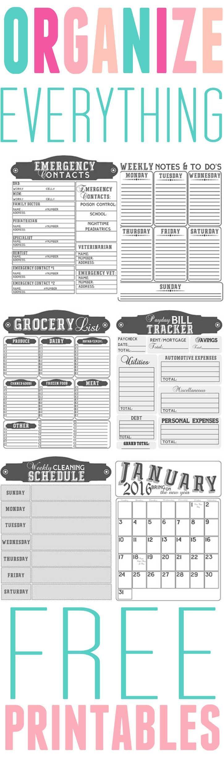 Get Organized- Free printables to organize your home in 2016