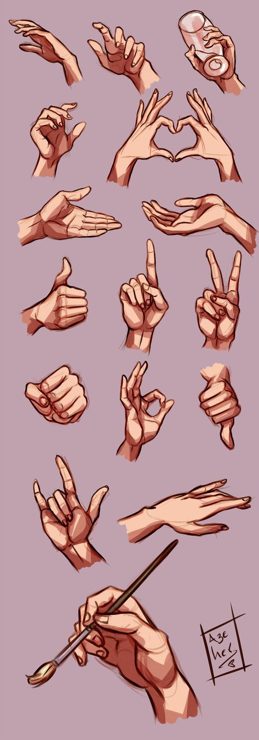 Hands study by Azeher on deviantART