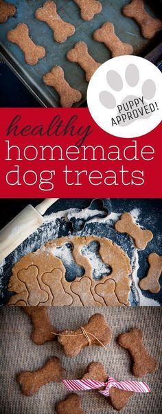 Healthy Homemade Dog Treats- pumpkin and applesauce make these a special treat for your fur babies! Th