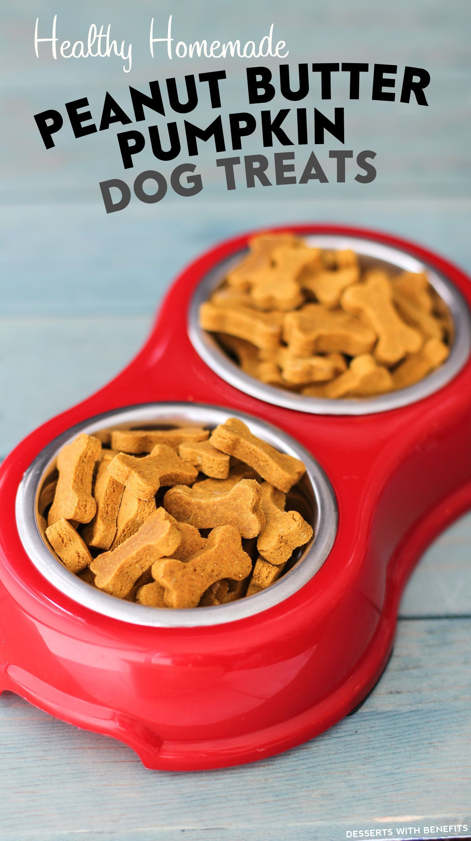 Healthy Homemade Peanut Butter Pumpkin Dog Treats! Puppy approved. These bone-shaped treats are packed