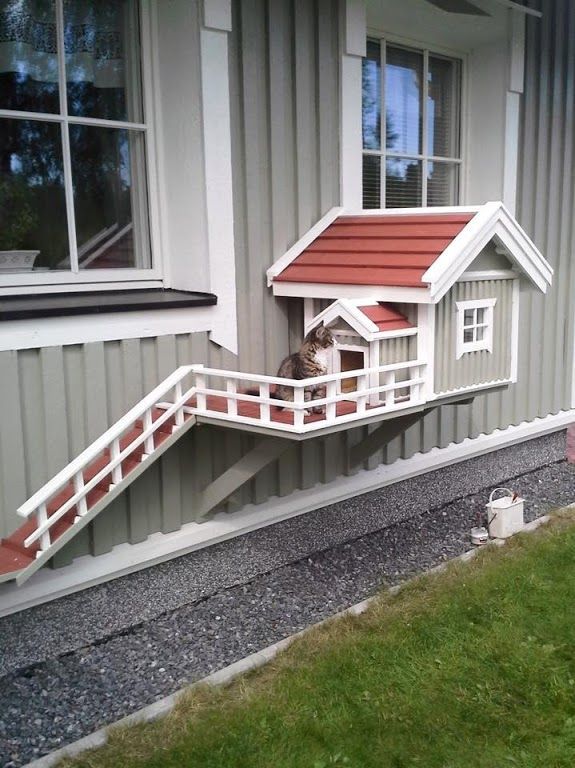 Isn’t this cute their own cat house entry with feature ramp. #cathousesandshelters