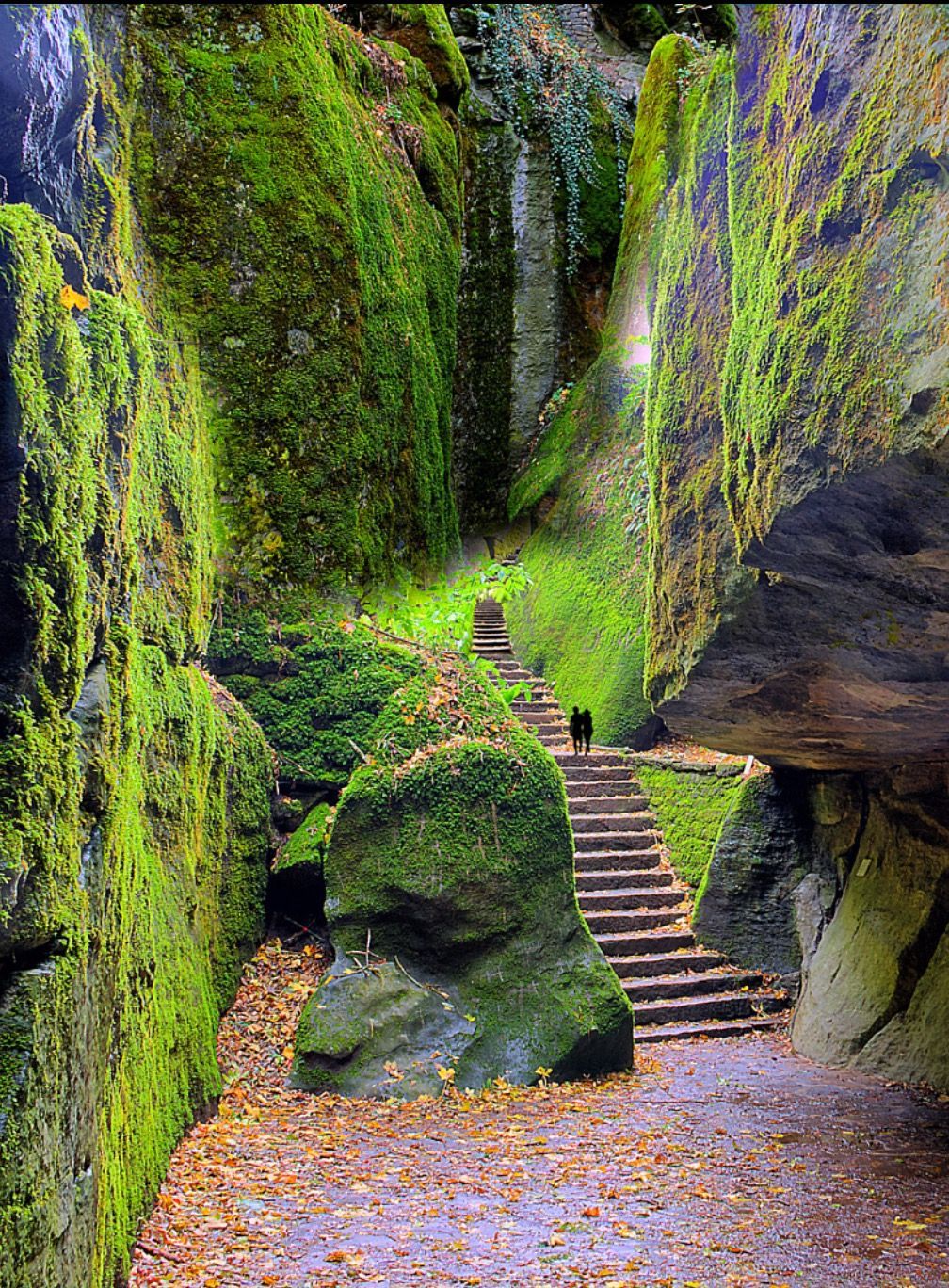 Steps leading to La Verna, Tuscany, Italy (Franciscan sanctuary)