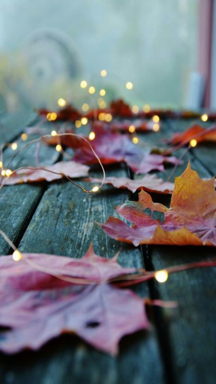 Warm lights and fallen Autumn leaves. Beautiful.