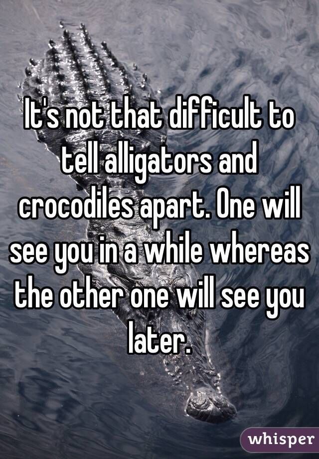 alligators/crocodiles