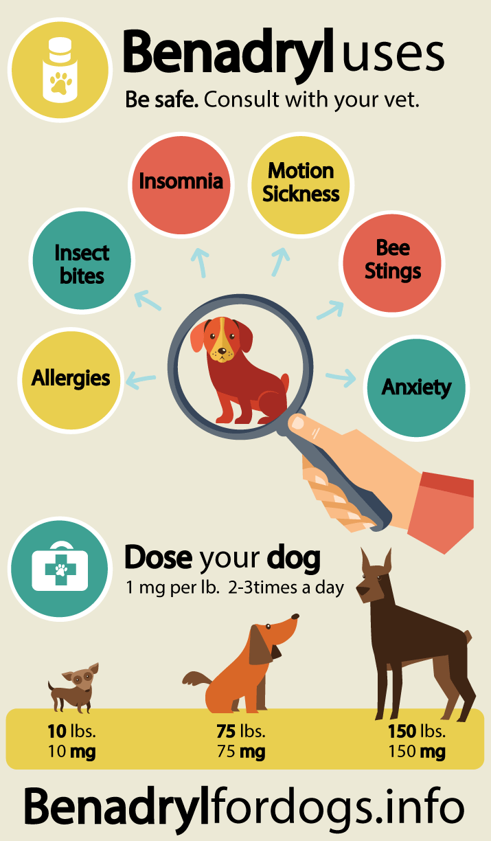 Benadryl dosage and uses for dogs From your friends at phoenix dog in home dog tra