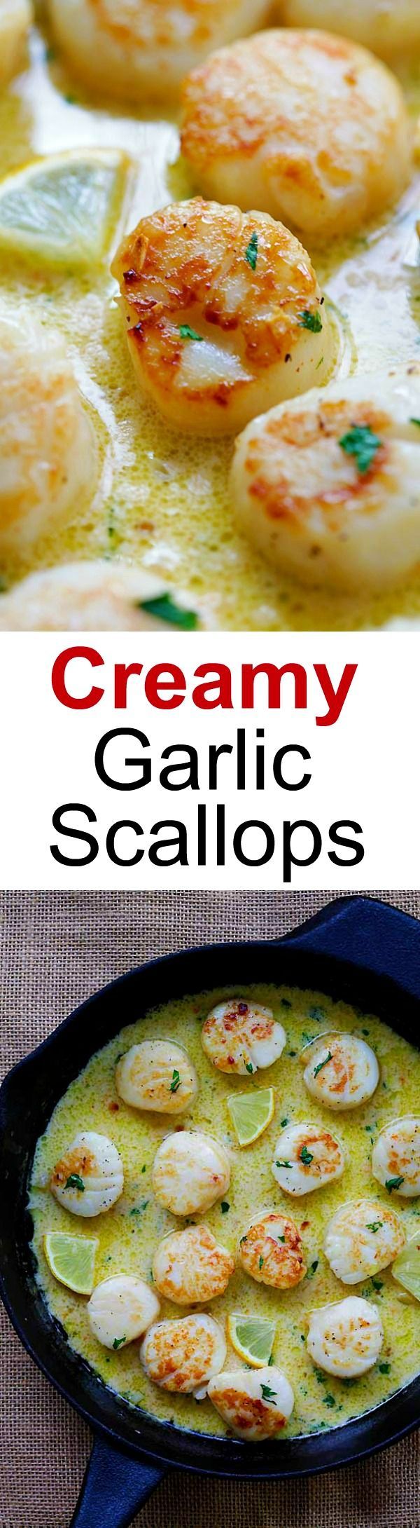 Creamy Garlic Scallops – easiest, creamiest and best scallop recipe ever. Takes