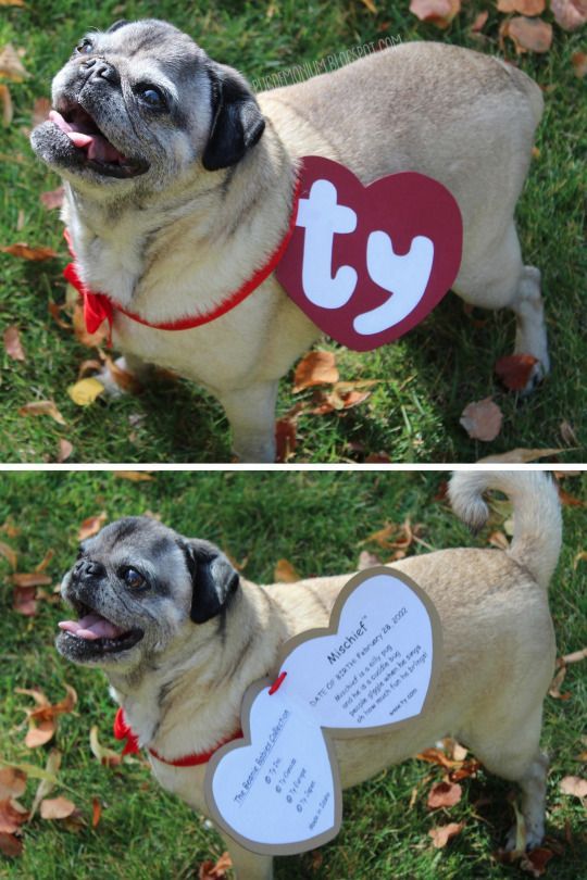 DIY Beanie Baby Dog Costume Tutorial and Template from Pugdemoniom