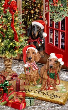 New for 2013! Dachshund Christmas Holiday Cards are 8 1/2″ x 5 1/2″ and