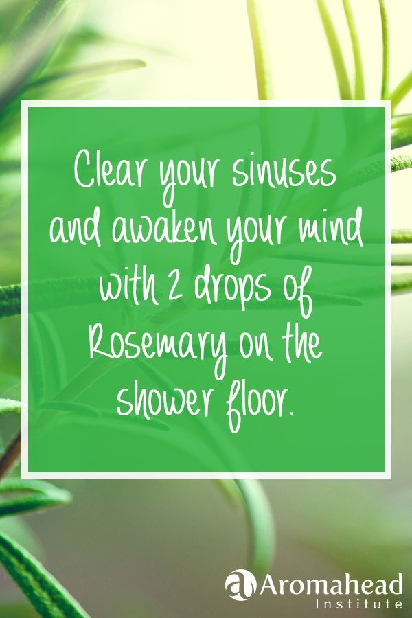 Rosemary essential oil is known for clearing sinuses and awakening the mind.