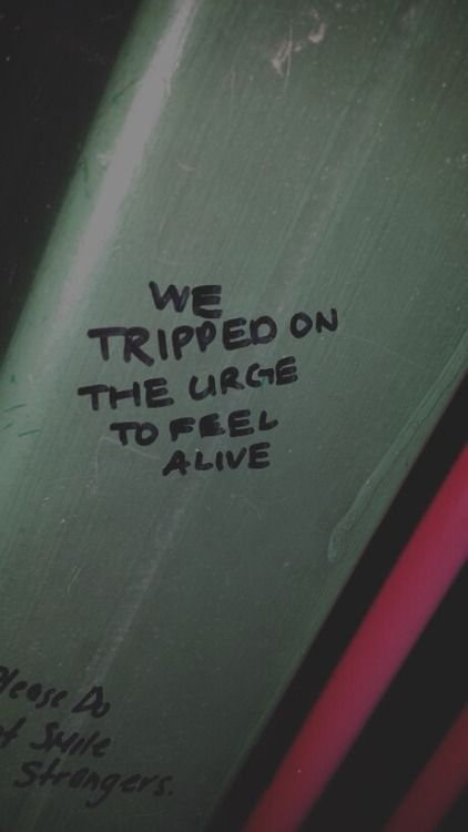 We tripped on the urge to feel alive