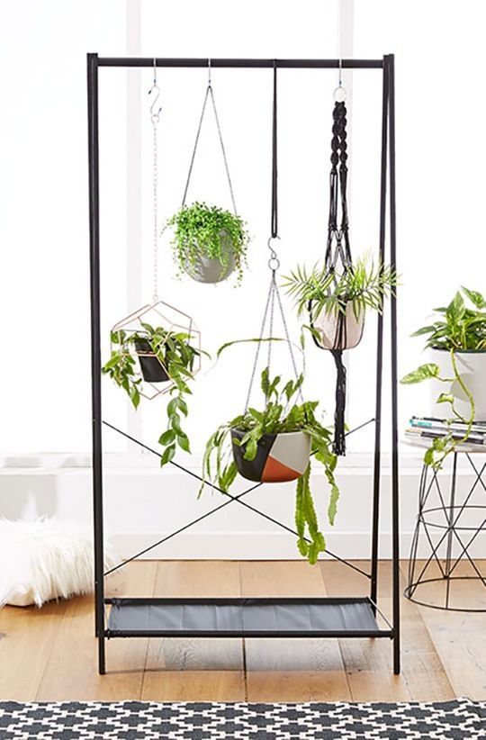 15 Ingenious Indoor Garden Ideas to Steal — Apartment Therapy