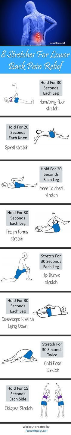 8 Stretch Exercises For Lower Back Pain Relief – focusfitness.net/…