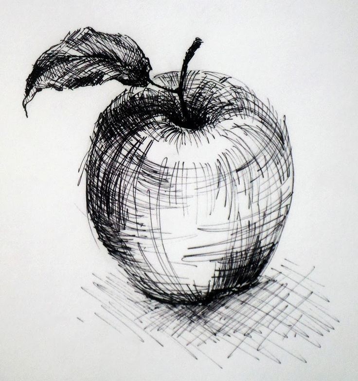 Apple Sketch