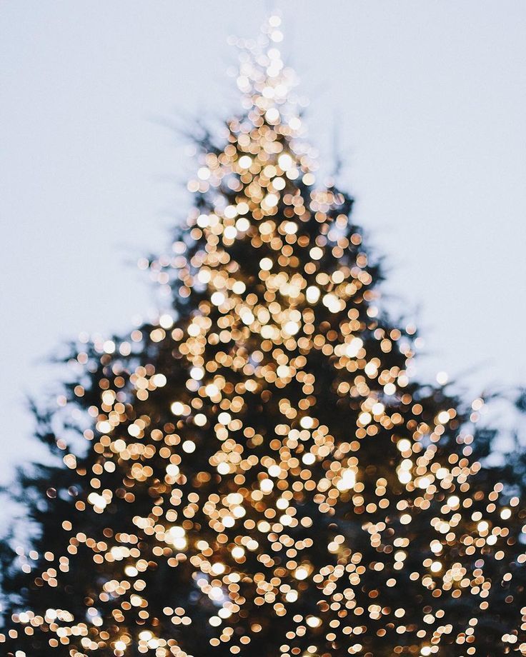 Christmas | Image via thenletitbe.tumbl…