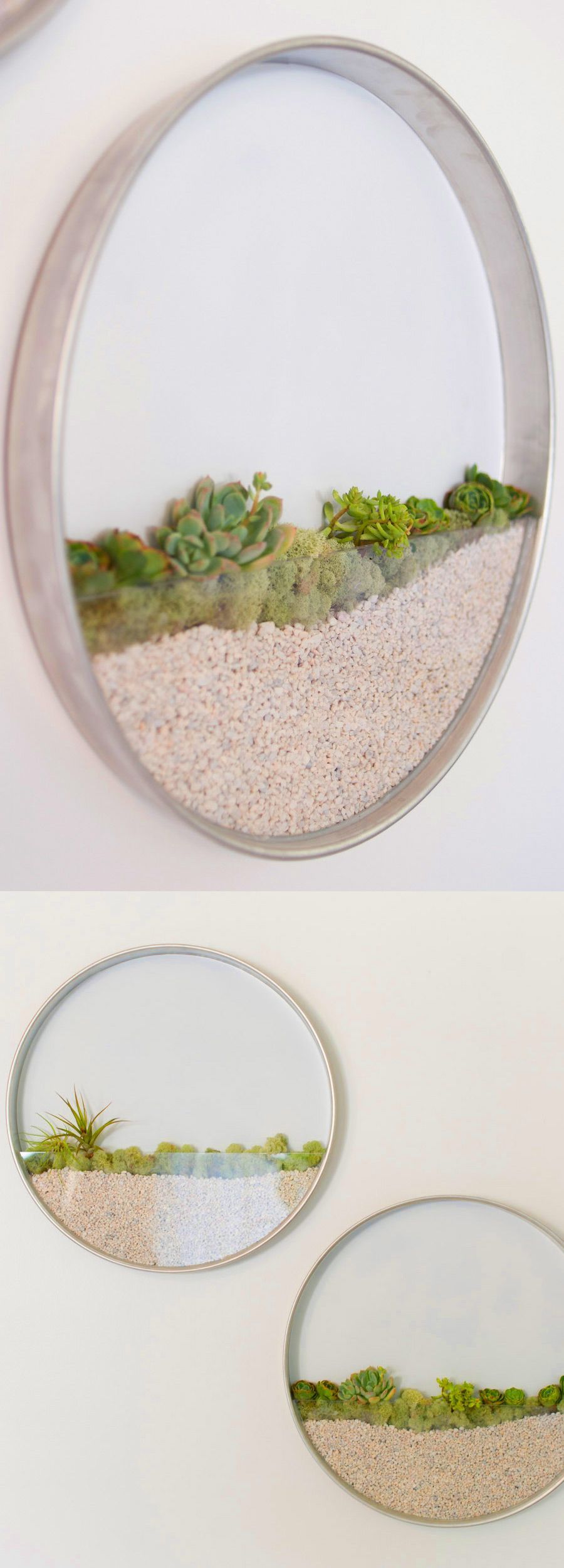 Circular Framed Planters Add Living Art to Your Walls