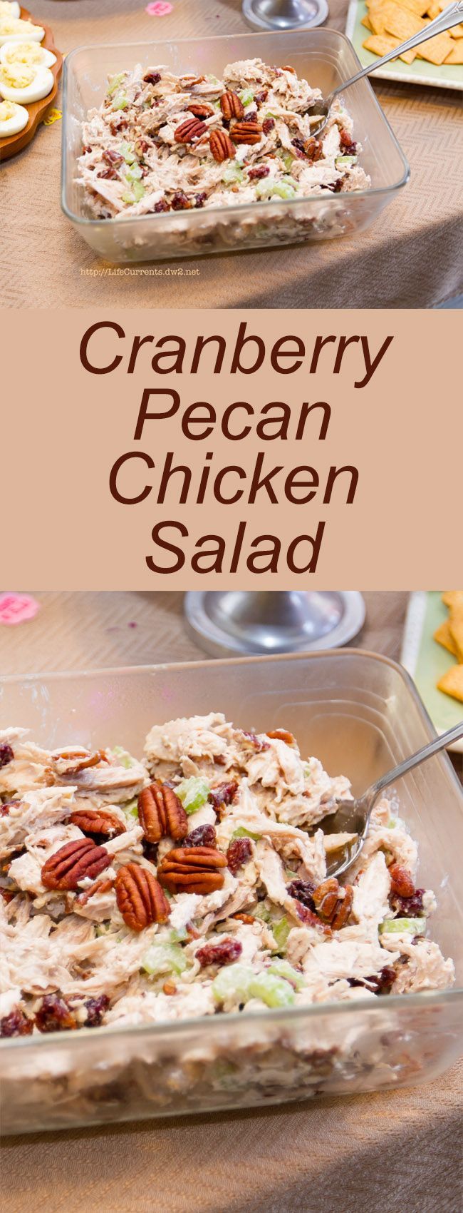 Cranberry Pecan Chicken Salad – Life Currents
