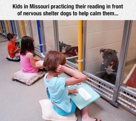 Kids In Missouri Practicing Their Reading With Shelter Dogs