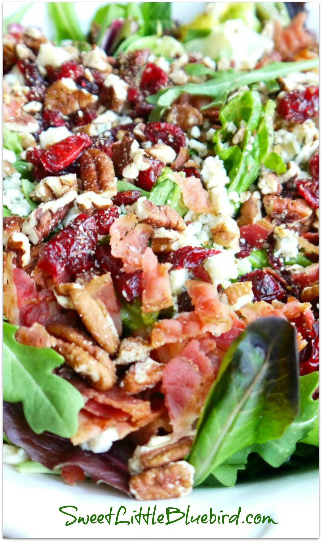 POPULAR PIN! MY #1 MOST REQUESTED SALAD {Made with Gorgonzola, Apple, Dried Cherri