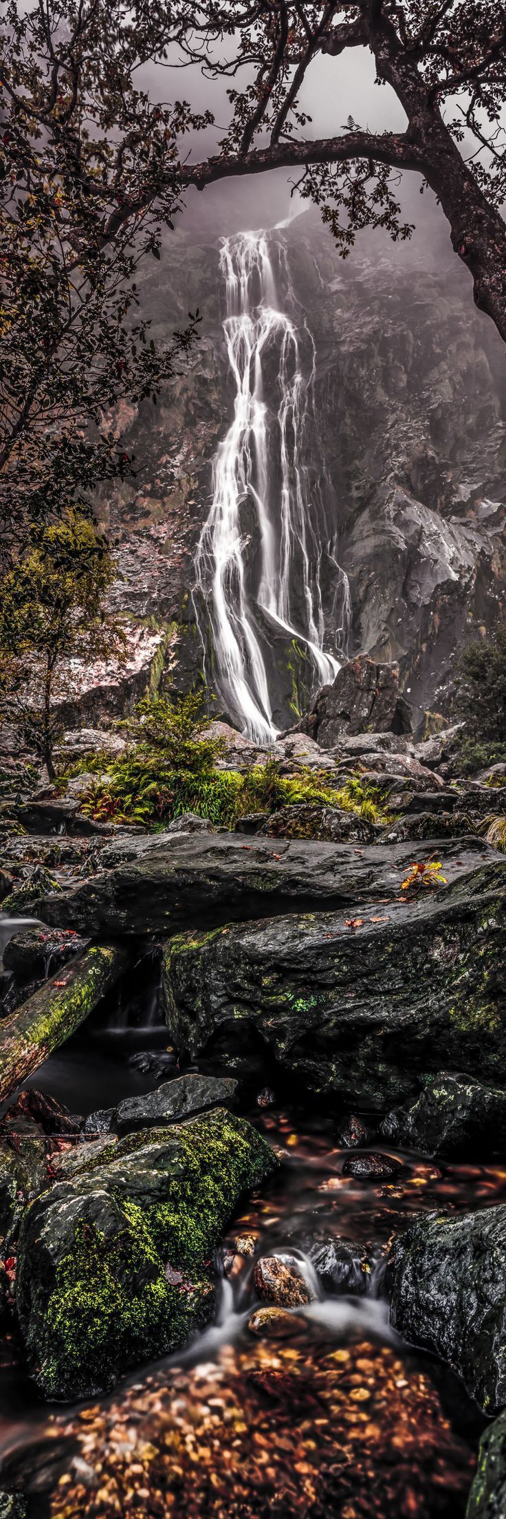 Powerscourt Waterfall, Wicklow, Ireland. Look at it closely and youll see a w