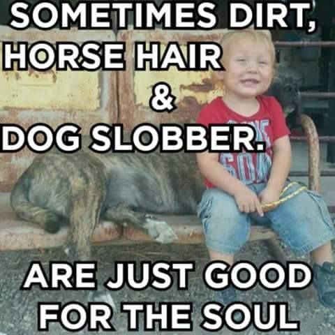 Sometimes dirt, horse hair and dog slobber are just good for the soul. LOL, amen!