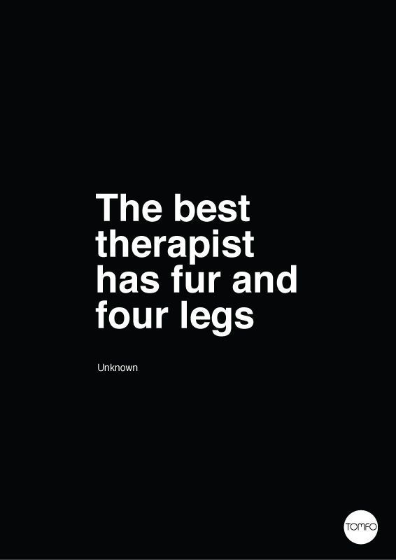 The best therapist has fur and four legs. For more quotes and inspirations: www.li