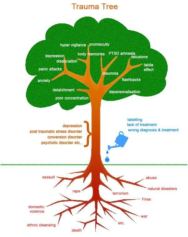 Trauma Tree – this is a good graphic of how symptoms can grow from trauma and igno