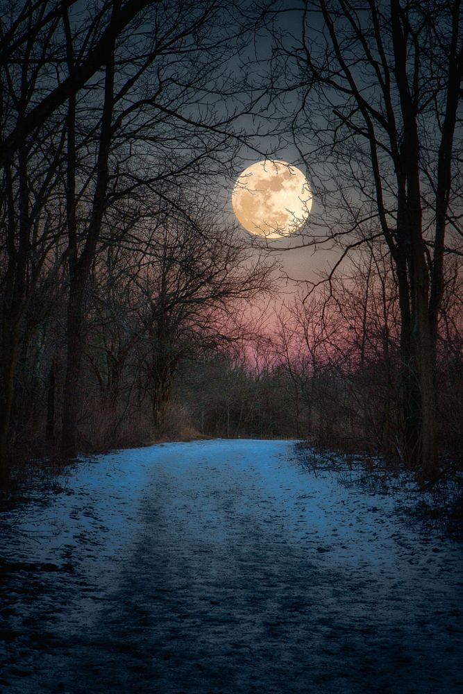 Wolf Moon Winter Path by Jim Crotty by Jim Crotty on 500px