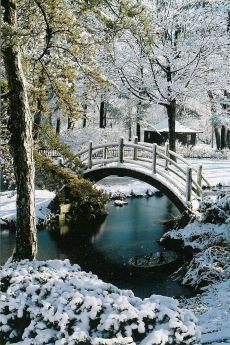 A winter snow decorates the moon bridge in the Fabyan Japanese Garden