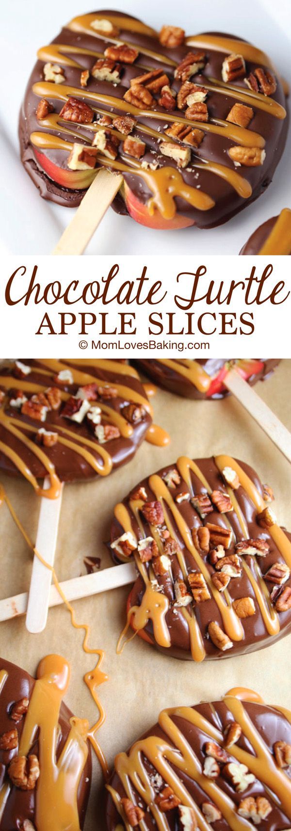 Chocolate Turtle Apple Slices are thick slices of Fuji apples covered in melted ch