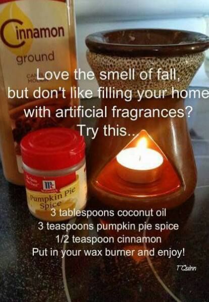 Mmmmm…this would make the house smell incredible! Find oil warmers here: amzn.to