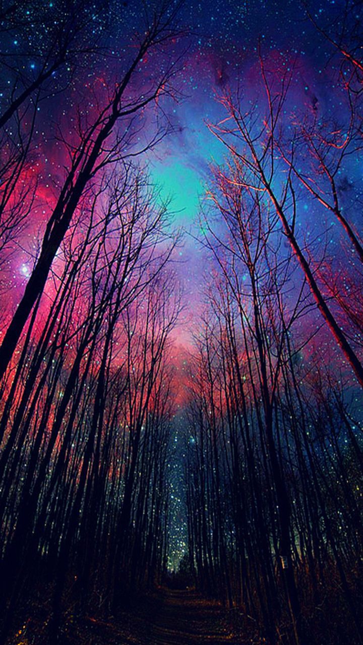reminds me of Electric Forest…oh how I wish I could have gone!!!!
