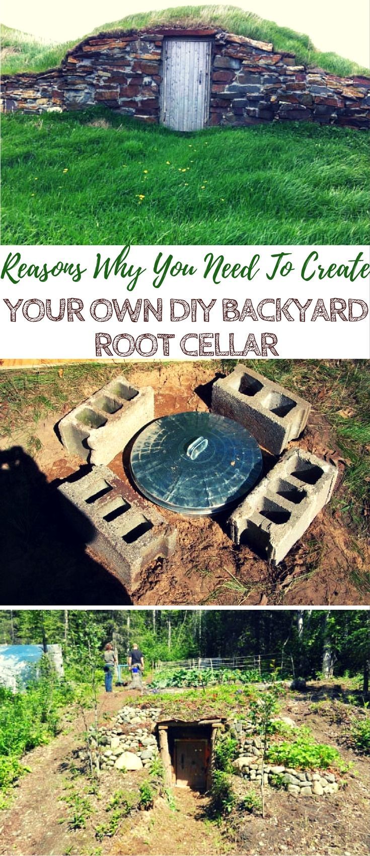 The Unbelievable Reasons Why You Need To Create Your Own DIY Backyard Root Cellar