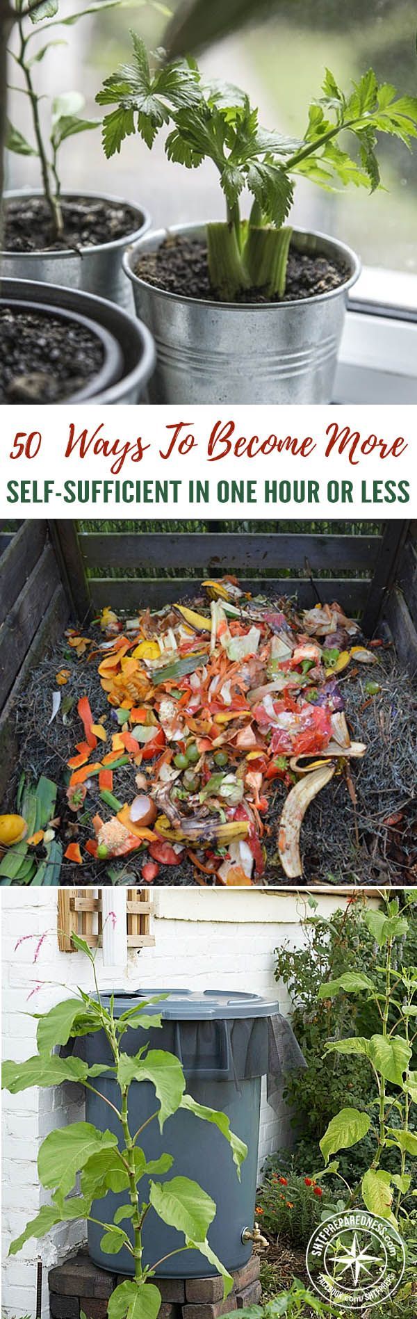 50 Ways to Become More Self-Sufficient in One Hour or Less — If you woke up one